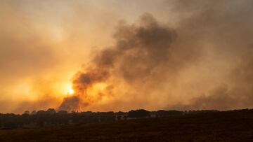 Vista del incendio forestal, a 16 de agosto de 2025, en Casar de Cáceres, Cáceres, Extremadura (España). El fuego que se originó este viernes entre las poblaciones de Casar de Cáceres y Arroyo de la Luz, en Extremadura, ha afectado a viviendas de la urbanización Viñas de la Mata. No se precisa cuántas casas se han visto afectadas por las llamas, pero muchas de ellas son viviendas habituales.
16 AGOSTO 2025;INCENDIO;INCENDIO
Carlos Criado / Europa Press
16/08/2025