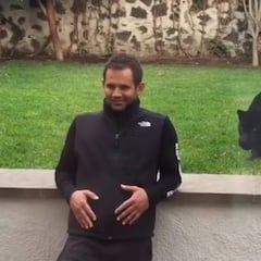 El 'ataque' de una pantera a su cuidador arrasa en las redes sociales