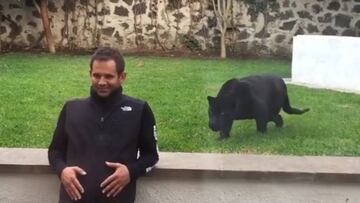 Eduardo Serio junto a la pantera en el vídeo que se ha vuelto viral.