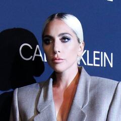 Lady Gaga sued by the woman who stole her dogs