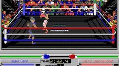 Imágenes de 4D Sports Boxing