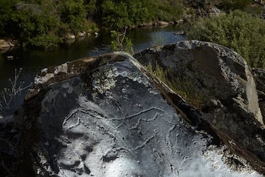 Los pretroglifos de Siega Verde (Castilla y León) y del Valle del Coa (Portugal) son uno de los primeros ejemplos de creación simbólica y el inicio de la cultura del ser humano. Incluyen representaciones animales y figuras geométricas y una de las primeras creaciones artísticas del homo sapiens. Hay representados caballos, cabras montesas o ciervos. El conjunto nos permite conocer aspectos sobre las relaciones sociales, espirituales y económicas de nuestros antepasados.