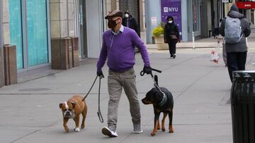 Las perreras en Estados Unidos festejan que sus animales están siendo adoptados en gran media durante el confinamiento que se vive por el Covid-19.