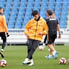 Sudamérica, principal destino para un Angileri sin sitio