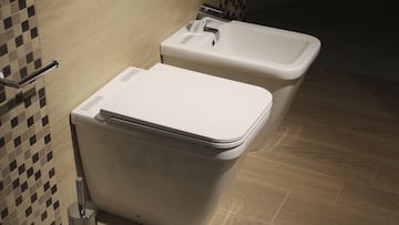 La ciudad de Espa?a donde es obligatorio por Ley tener bid¨¦ en el aseo