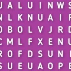 Reto visual: ¿Puedes encontrar la palabra oculta entre las letras?