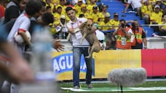 Los perros callejeros durante el Mundial preocupan a Rusia