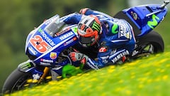 Maverick Vi&ntilde;ales.