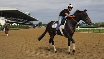Gronkowski se encontró con el caballo que lleva su nombre