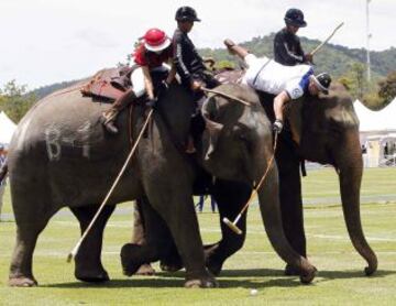 Las curiosas imágenes del polo sobre elefantes