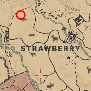 Todas las rocas talladas de Red Dead Redemption 2