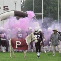 Burros o Águilas Blancas darán título de ONEFA al IPN