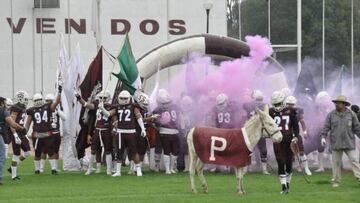 Burros o Águilas Blancas darán título de ONEFA al IPN