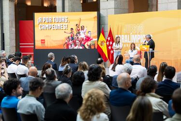 ¡°La representaci¨®n de Madrid ser¨¢ amplia y ejemplar¡±