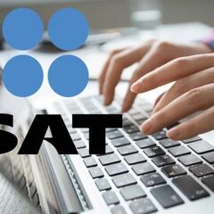 SAT: fallas en el portal web y qué hacer si tengo problemas con mi declaración anual 2024