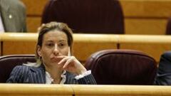 Marta Dom&iacute;nguez, en el Senado.