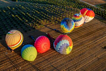 HARO (La Rioja)16/08/2024.- El cielo de Haro (La Rioja) vuelve a teñirse de colores durante los próximos tres días con los globos aerostáticos de los 19 participantes en la 24 edición de la regata internacional 'Capital del Rioja'. Una veintena de pilotos procedentes de Portugal, Francia y España sobrevolarán la ciudad de Haro para participar este fin de semana en una de las regatas más famosas del mundo. EFE/ Raquel Manzanares
PUBLICADA 17/08/24 NA MA32 5COL CONTRAPORTADA FOTO FINISH 
