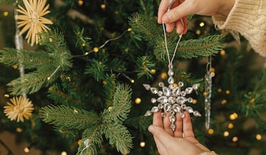 Día Nacional de la Nochebuena 2025: origen, significado y por qué se celebra el 8 de diciembre