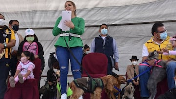 Jurados electorales OEP 2020 en Bolivia: cuál es la lista y cómo revisar si soy jurado