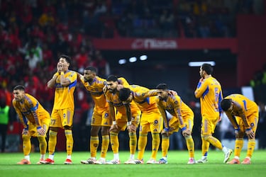 Gorriarán da la cara por Tigres tras perder la final contra Toluca
