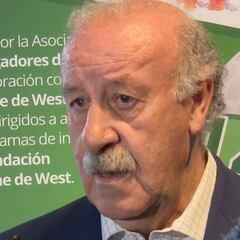 Del Bosque: "Lo lógico es que el Madrid sea el ganador de esta Champions"