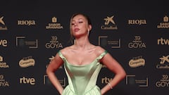 La espectacular alfombra roja de los Premios Goya 2025