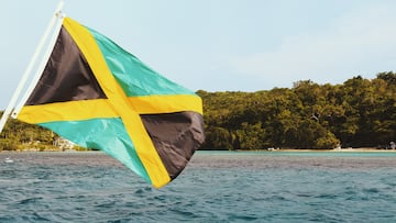 Todas las banderas del mundo contiene alguno de estos colores excepto la de Jamaica, compuesta por los colores verde, amarillo (oro) y negro. El negro simboliza la fuerza y creatividad del pueblo jamaicano, el amarillo la luz del sol y la riqueza natural del país. El verde representa la esperanza en el futuro y la riqueza agrícola.