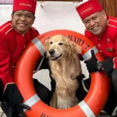 Su perro se estresa al volar, así que la mujer decide trasladar a su mascota en un crucero de lujo