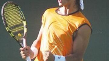 <b>A LA FINAL. </b>Nadal superó a Ferrer en una hora y treinta minutos.