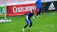 Player by player guide to Del Bosque's Euro 2016 Spain squad