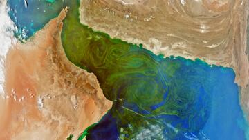 The US space agency's PACE satellite has released the first photo tour of the Earth’s surface which gives a whole new perspective of our planet’s beauty.
