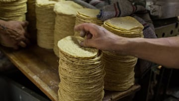 Profeco dice cuánto debería costar el kilo de tortillas
