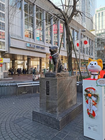 This is the Shibuya crossing in Japan: more than 2 million people pass through every day