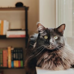 Los hijos no querían visitar a su madre enferma: la anciana da un giro con su herencia de 2,6 millones de euros