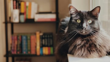 Los hijos no querían visitar a su madre enferma: la anciana da un giro con su herencia de 2,6 millones de euros