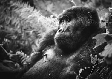 Fotografía de Raúl García Carnero.