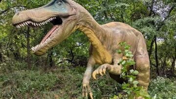Se vende dinosaurio por 2.200 euros en “relativamente buenas condiciones”: un parque ofrece más de 25 ejemplares por cierre
