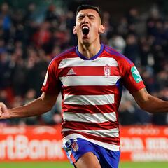 La Rosaleda, un reto para Uzuni