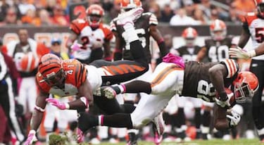 Una imagen, una frase (Jorn. 4)