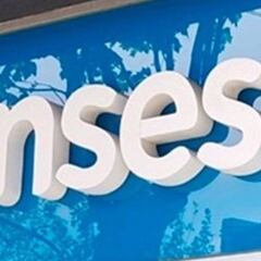 IFE de ANSES: ¿cómo saber si cobro el segundo bono?