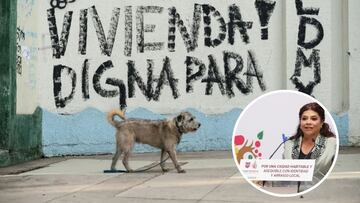 Clara Brugada, jefa de gobierno de la Ciudad de México anunció un plan de 14 puntos para terminar con la gentrificación.