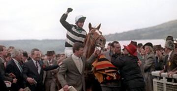 Desert Orchid, whose front running and courageous jumping exploits lit up the 'Sport of Kings' in the 1980's came to the 1990 Cheltenham Gold Cup as the hot favourite and defending champion.  That plan came spectacularly undone in the unlikeliest shape of