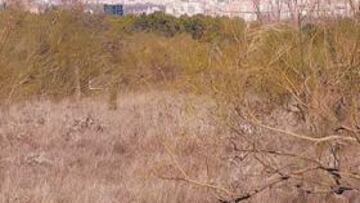<b>MADRID AL FONDO. </b>Este es el aspecto que presenta ahora la Venta la Rubia. Como se observa, Madrid está muy cerca. Al fondo se ve la ciudad con los edificios de la Plaza de España.