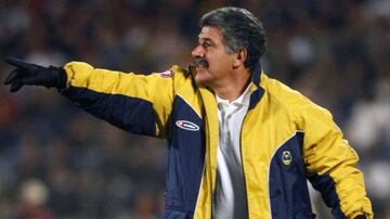 Pumas
Como jugador-1980-1981, 1990-1991
Como entrenador-- Clausura 2009
