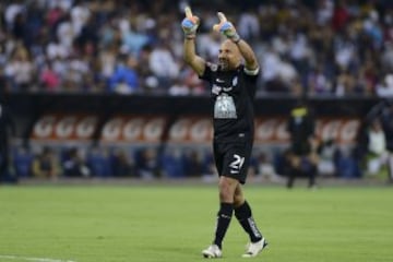 El Reino Animal del mundo del fútbol