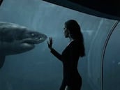 ‘Sharklentine’ tiene poco más de 100 páginas, es inclasificable, y desearás que llegue a la gran pantalla