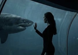 ‘Sharklentine’ es una rareza inclasificable de poco más de 100 páginas y Hollywood debería llamar a la puerta de su autora