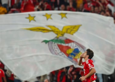 A sus 19 años ya es internacional con Portugal siendo la última gran irrupción en el fútbol luso, en el que en apenas dos años ha pasado de firmar su primer contrato profesional a ser seguido por varios grandes de Europa. Tiene un valor de mercado de 45 millones de euros. 