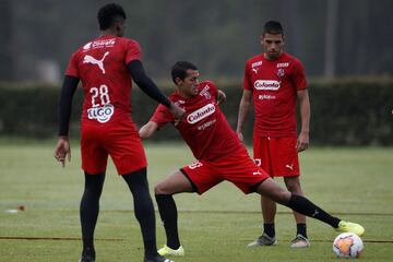 Medellín se alista para su debut en la Copa Libertadores de América. Enfrentará a Táchira este martes 4 de febrero a partir de las 7:30 p.m. en el Atanasio Girardot.