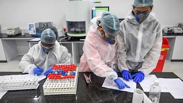 Laboratory staff wearing Personal Protective Equipments (PPE) check samples collected for Covid-19 coronavirus testing as part of Project Ummeed, a public-private initiative dealing with large scale Covid-19 RT-PCR tests available for low-income household